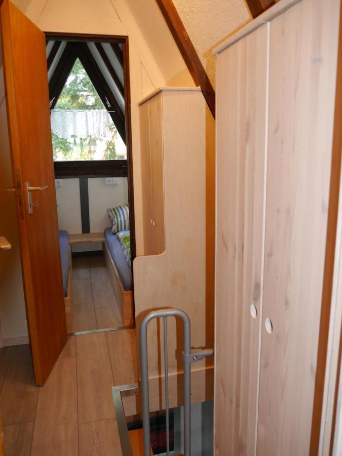 Ferienhaus Im Nordschwarzwald - Nurdachhaus In Waldrandlage Haus Florine Villa Schellbronn Ngoại thất bức ảnh